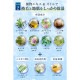 HUGG ���ѡ�����󥰥Х������ס� 400g ARCATH