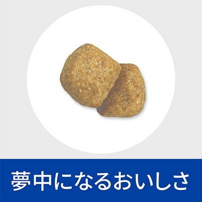 �ҥ륺 �ץꥹ����ץ����������å� ǭ�� t/d �ɥ饤 400g�ߣ���