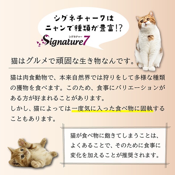 �����ͥ��㡼�� ������ with ������� 70g �ե��󥿥�������