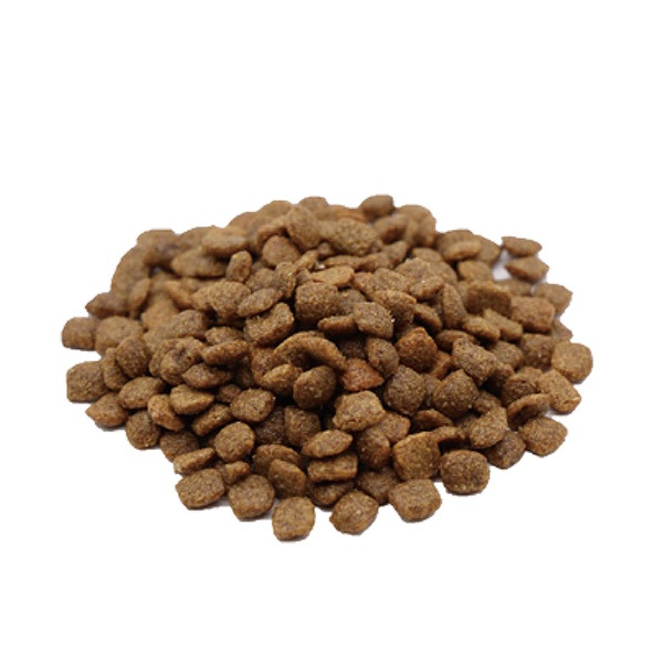 ٥åĥ塼 ǭ ¡ݡ 2kg4 ѥڥåȥߥ˥ ̵