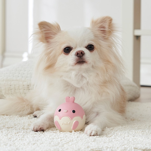 【新品未開封】犬飼ターボ ハピサク教材 CD5枚セット ドッググッズ,ヤマヒサ,Petio(ペティオ),おもちゃ | RunPet -ラン