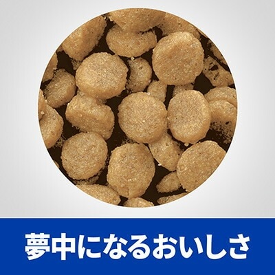 �ҥ륺 �ץꥹ����ץ����������å� ǭ�� c/d �ޥ������ �ɥ饤 2kg