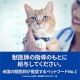 �ҥ륺 �ץꥹ����ץ����������å� ǭ�� c/d �ޥ������ �ɥ饤 2kg