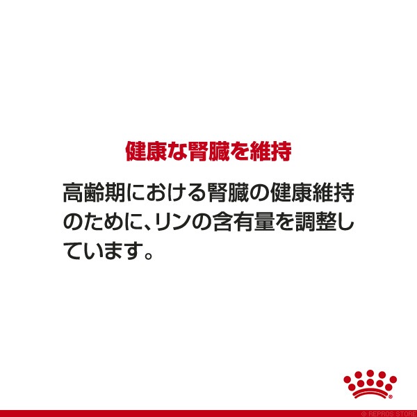 ������륫�ʥ� SHN �ߥ� �������� 12+ 1.5kg