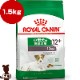 ������륫�ʥ� SHN �ߥ� �������� 12+ 1.5kg