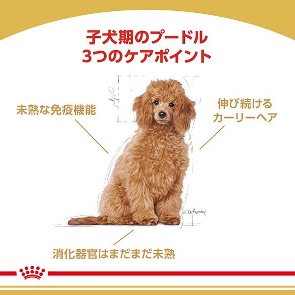 ������륫�ʥ� BHN �ס��ɥ� �Ҹ��� 1.5kg��2��