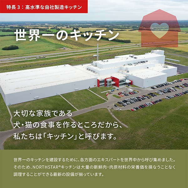 �ڥ����ڡ�����ʡۥ����� �إ�ơ��� �饤�ȡ��ե��åȥ쥷�� 11.4kg ��t �ڥå� �ա��� �� �ɥå� ACANA ����̵���������ʡ�