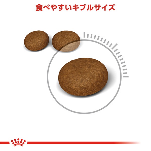 ������륫�ʥ� FCN �إ��������󥱥� 400g