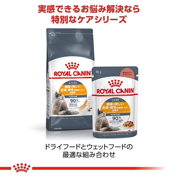 ������륫�ʥ� FCN �إ��������󥱥� 400g