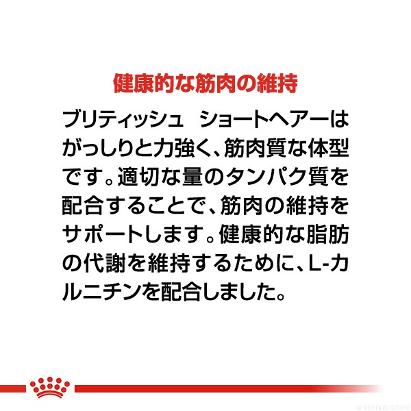 ������륫�ʥ� FBN �֥�ƥ��å��奷�硼�ȥإ��� 400g