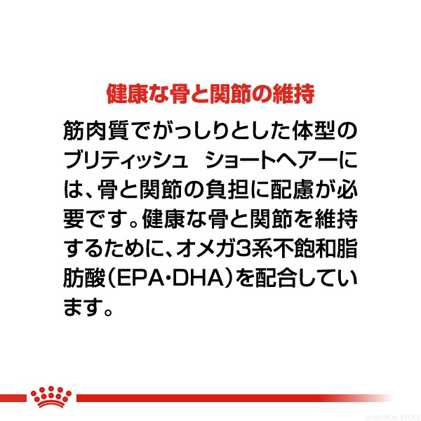 ������륫�ʥ� FBN �֥�ƥ��å��奷�硼�ȥإ��� 400g