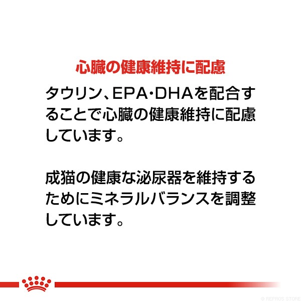 ������륫�ʥ� FBN �֥�ƥ��å��奷�硼�ȥإ��� 400g