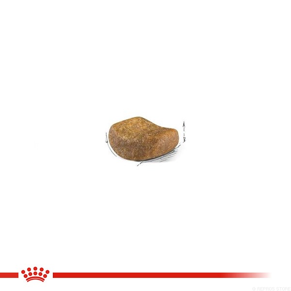 ������륫�ʥ� FBN �֥�ƥ��å��奷�硼�ȥإ��� 400g