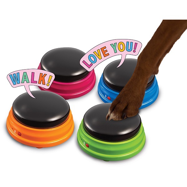 �ϥ󥬡��ե������ �ȡ����󥰥ڥå� ������٤�Ͽ���ܥ��� (����������) �ɥ꡼��֥��å���