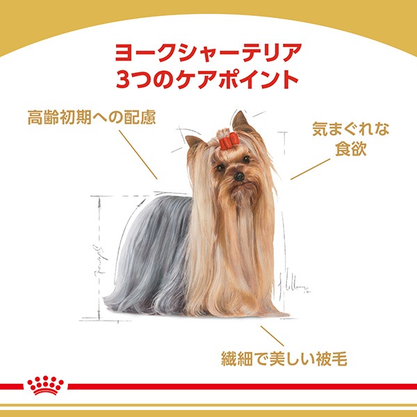 ������륫�ʥ� BHN �衼�����㡼�ƥꥢ ������������ 10������ʾ� 1.5kg