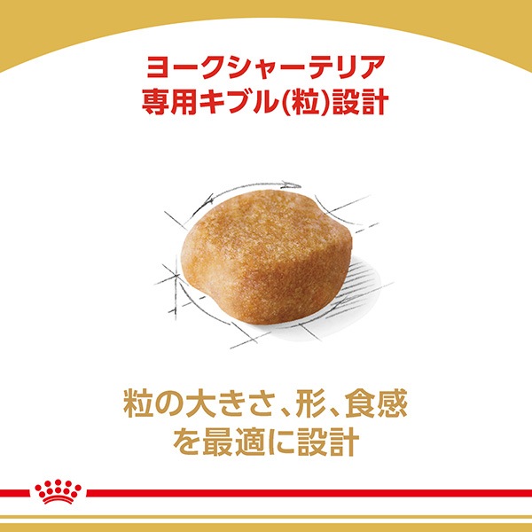 ������륫�ʥ� BHN �衼�����㡼�ƥꥢ ������������ 10������ʾ� 1.5kg