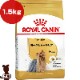 ������륫�ʥ� BHN �衼�����㡼�ƥꥢ ������������ 10������ʾ� 1.5kg