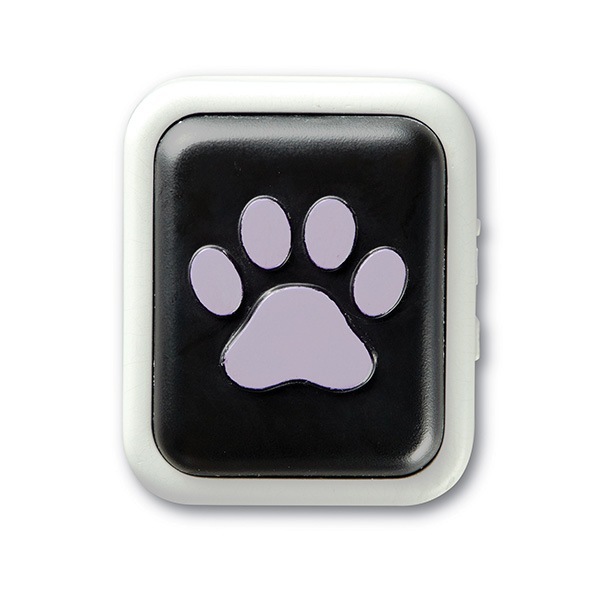 ϥ󥬡ե ȡ󥰥ڥå ٤ɥ٥ ɥ꡼֥å