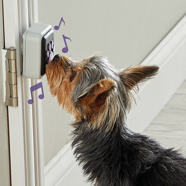 ϥ󥬡ե ȡ󥰥ڥå ٤ɥ٥ ɥ꡼֥å