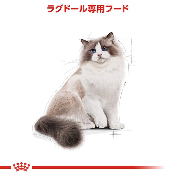 ������륫�ʥ� FBN �饰�ɡ��� 400g