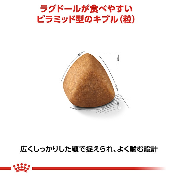 ������륫�ʥ� FBN �饰�ɡ��� 400g