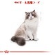 ������륫�ʥ� FBN �饰�ɡ��� 400g