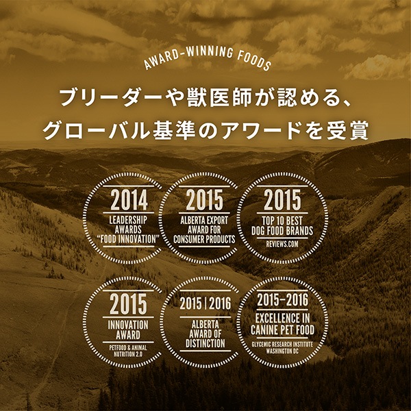 �ڥ����ڡ�����ʡۥ����� ���󥰥� �衼������ݡ��� 2kg ��t �ڥå� �ա��� �� �ɥå� �����ʥե��ߥ꡼����ѥ� ACANA�������ʡ�