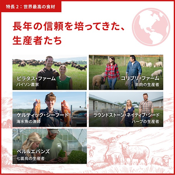 �ڥ����ڡ�����ʡۥ����� ���󥰥� �衼������ݡ��� 6kg ��t �ڥå� �ա��� �� �ɥå� �����ʥե��ߥ꡼����ѥ� ACANA ����̵���������ʡ�