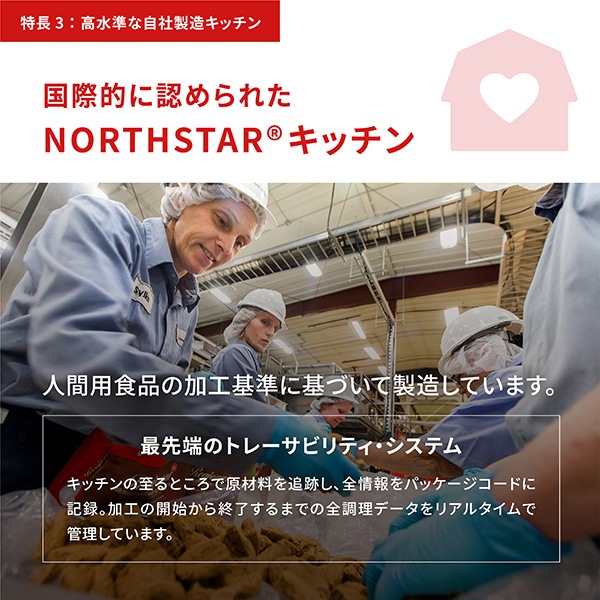 �ڥ����ڡ�����ʡۥ����� ���󥰥� �衼������ݡ��� 6kg ��t �ڥå� �ա��� �� �ɥå� �����ʥե��ߥ꡼����ѥ� ACANA ����̵���������ʡ�