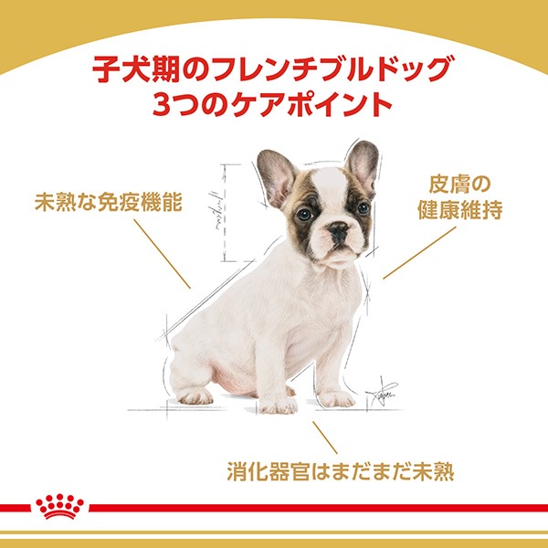 ������륫�ʥ� BHN �ե����֥�ɥå� �Ҹ��� 3kg