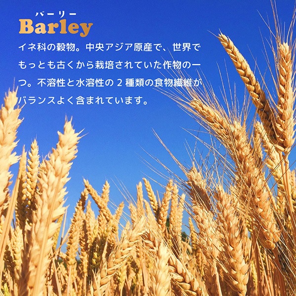 �����ͥ��㡼�� ��������С��꡼ 80g��6�� �ե��󥿥�������