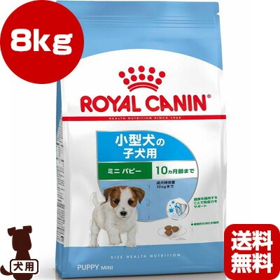 ������륫�ʥ� SHN �ߥ� �ѥԡ� 8kg
