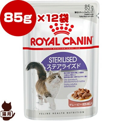 ������ FHN-WET�����ƥ��饤���ɡ�85g��12��������륫�ʥ�