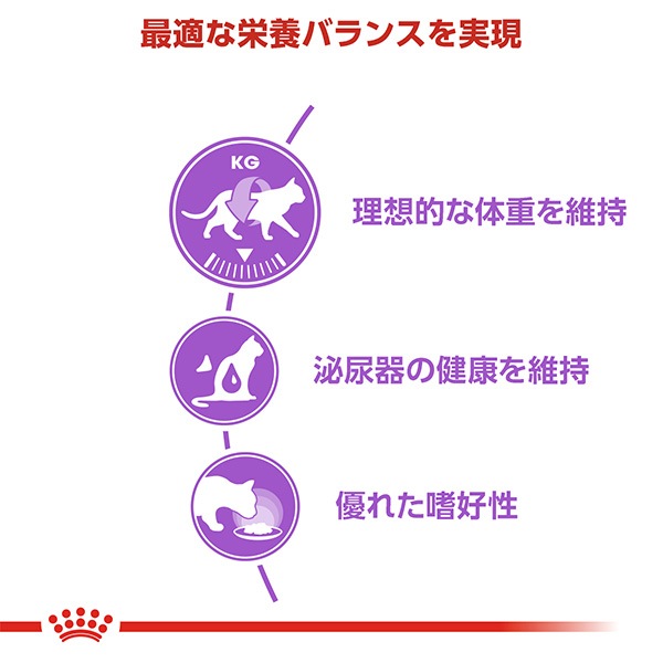 ������ FHN-WET�����ƥ��饤���ɡ�85g��12��������륫�ʥ�