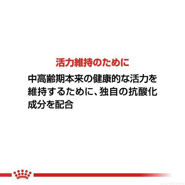 ������륫�ʥ� FHN-WET ���󥹥ƥ��󥯥ƥ��֡�7 85g��12