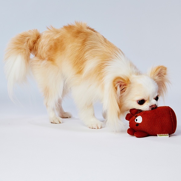 �ե�ե�˥åȥ��˥ޥ� ���� ���ɥᥤ��