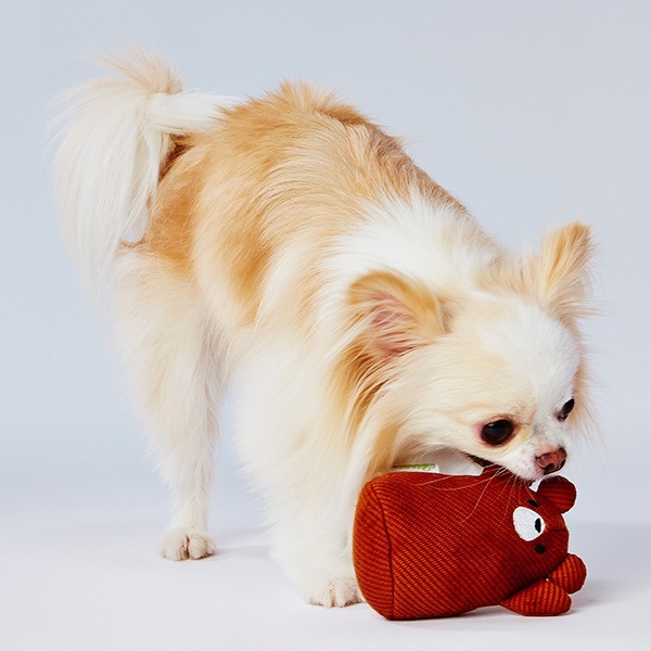 �ե�ե�˥åȥ��˥ޥ� ���� ���ɥᥤ��