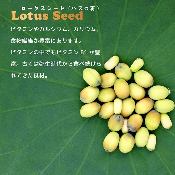 �����ͥ��㡼�� ���Ĥ����������������� 80g �ե��󥿥�������