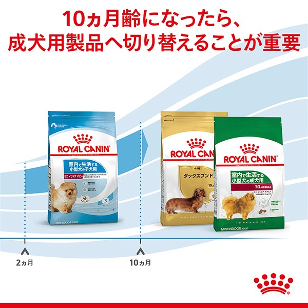 ������륫�ʥ� SHN �ߥ� ����ɥ� �ѥԡ� 2kg��5��