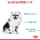 ������륫�ʥ� SHN �ߥ� ����ɥ� �ѥԡ� 2kg��5��