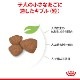 ������륫�ʥ� SHN �ߥ� ����ɥ� �ѥԡ� 2kg��5��