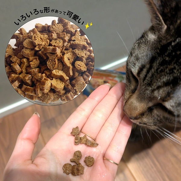 �����ͥ��㡼�� �������� �ߡ��ƥ����ȥ꡼�� �ĥʥե졼�С� 50g �ե��󥿥�������