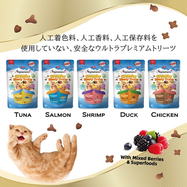 �����ͥ��㡼�� �������� �ߡ��ƥ����ȥ꡼�� �������ե졼�С� 50g �ե��󥿥�������