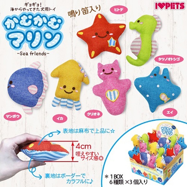 ���फ��ޥ�� 18���� BOX���å� �ܥ�ӥ��륳��