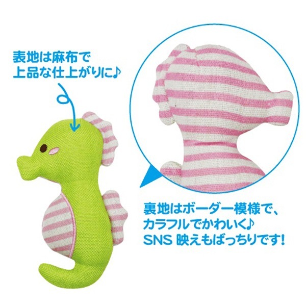 ���फ��ޥ�� 18���� BOX���å� �ܥ�ӥ��륳��