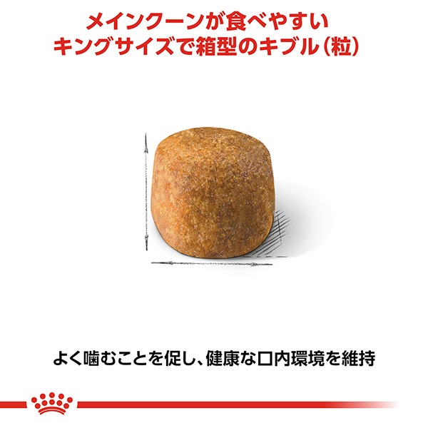 ������륫�ʥ� FBN �ᥤ�󥯡��� 2kg