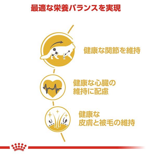 ������륫�ʥ� FBN �ᥤ�󥯡��� 2kg