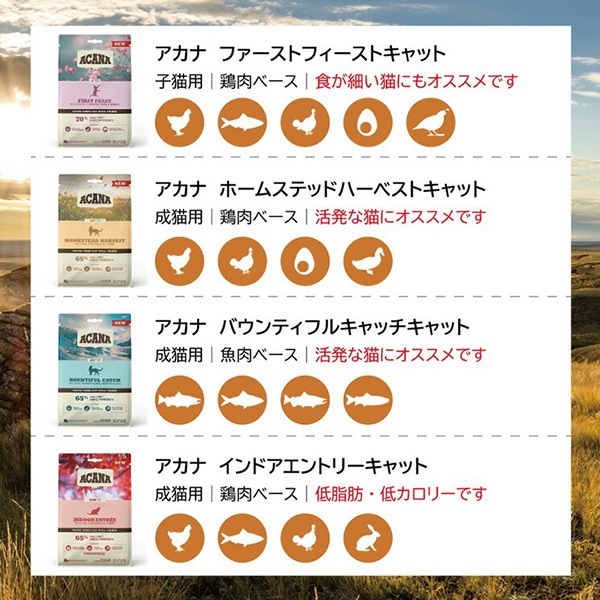 ������ �ե������ȥե������ȥ���å� 1.8kg��2�� �����ʥե��ߥ꡼����ѥ� ��t �ڥå� �ա��� ǭ ����å� ACANA �������������ʡ�