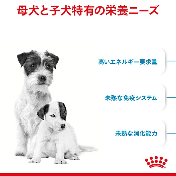 ������륫�ʥ� SHN �ߥ˥��������� �ޥ������٥ӡ��ɥå� 1kg