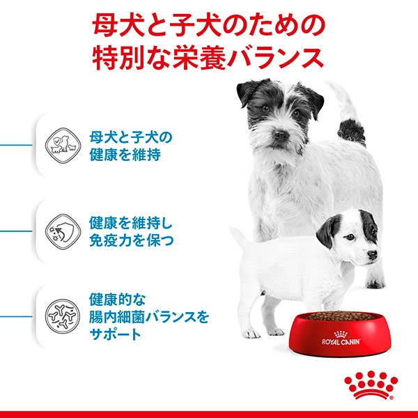 ������륫�ʥ� SHN �ߥ˥��������� �ޥ������٥ӡ��ɥå� 1kg